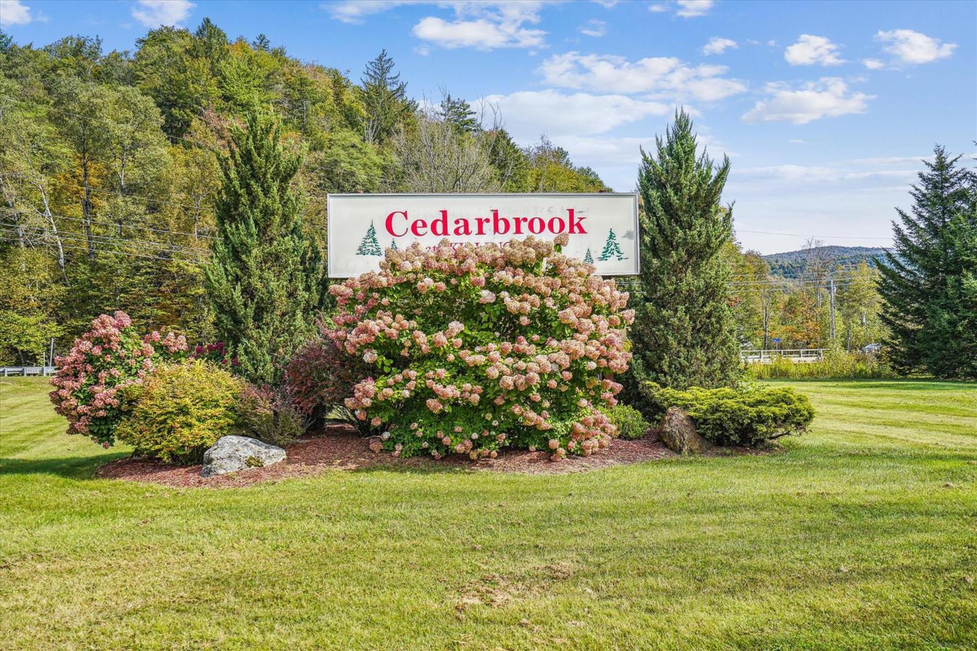 208 Cedarbrook One Bedroom Queen Suite Кіллінгтон Екстер'єр фото